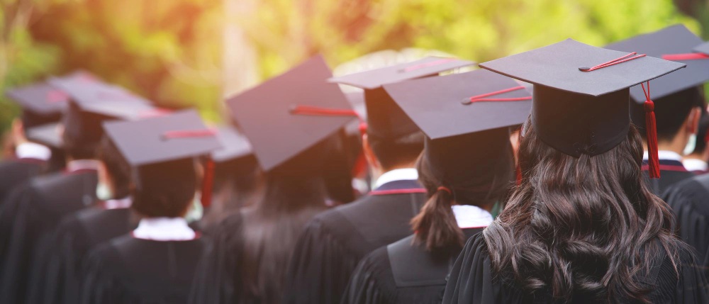 Undergraduate Programs